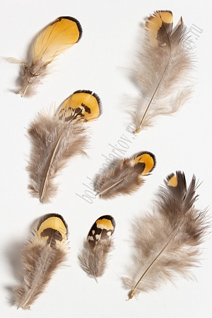 Перья декоративные (30 шт) SF-2029