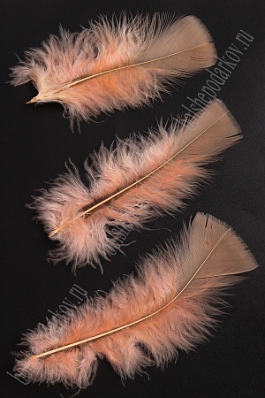 Перья декоративные (20 шт) SF-4317, розовый персик №044