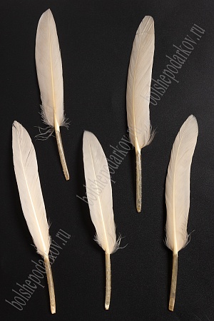 Перья декоративные (20 шт) SF-4316, бледно-персиковый №122