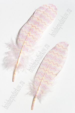 Перья декоративные 16*4,5 см (6 шт) &quot;Зигзаг&quot;