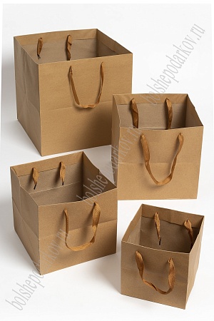 Пакет крафтовый 20*20*20 см (12 шт) SF-7077