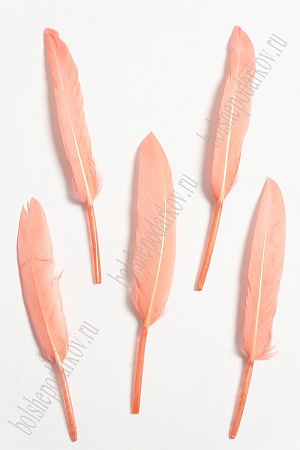 Перья декоративные (20 шт) SF-4316, светло-коралловый