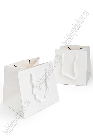 Пакет крафтовый 20*20*20 см (12 шт) SF-7077, белый