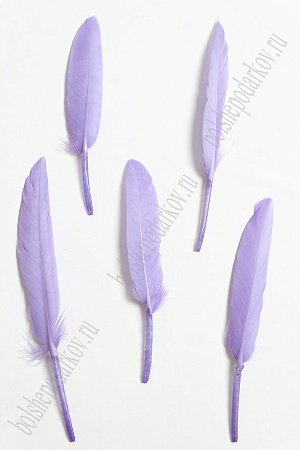 Перья декоративные (20 шт) SF-4316, фиолетовый №06