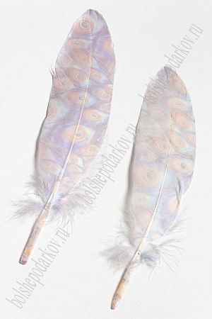 Перья декоративные 16*4,5 см (6 шт) &quot;Павлин&quot;