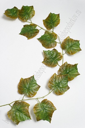 Лиана виноградная 3 м (6 шт) SF-2924, зелено-коричневый