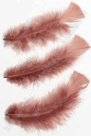 Перья декоративные (20 шт) SF-4317, темная пенка №072