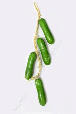 Муляж кабачки на ветке