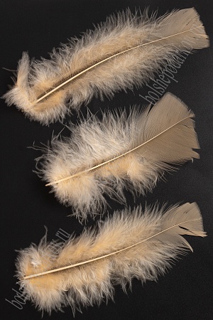 Перья декоративные (20 шт) SF-4317, персиковый №05