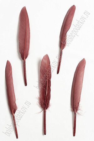 Перья декоративные (20 шт) SF-4316, темная пенка №072