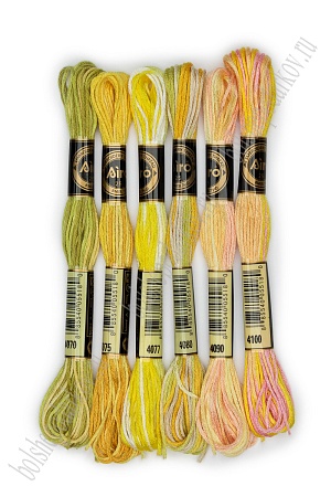 Набор ниток мулине (6 шт) SF-4104, №77
