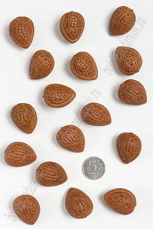 Муляж декоративный косточка, SF-1238 (100 шт)