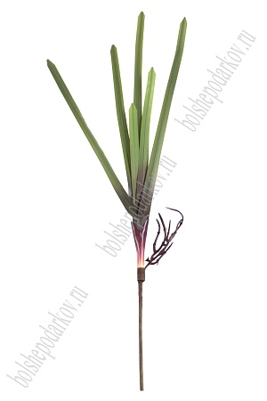 Листья орхидеи &quot;Ванда&quot; SF-776