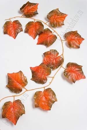 Лиана виноградная 3 м (6 шт) SF-2924, оранжево-коричневый