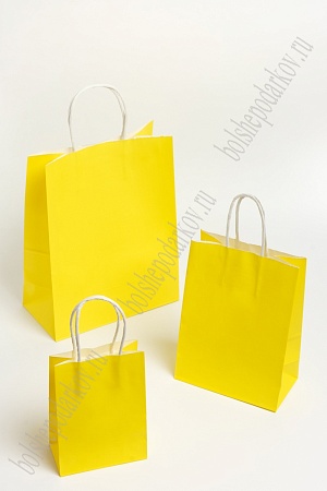 Пакет крафтовый 15*21*8 см (12 шт) SF-7175,  желтый