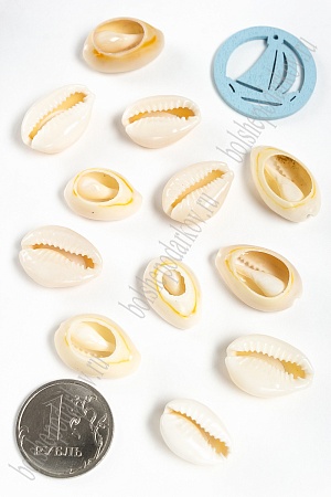 Ракушки для украшений (10 шт) SF-3341-1/3369, №1