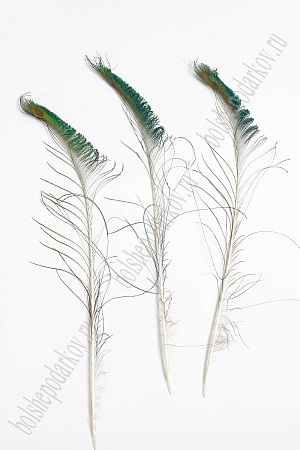 Перья декоративные &quot;Павлин&quot; 60-70 см (10 шт) SF-4320