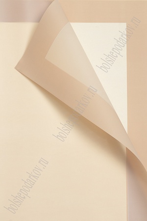 Пленка для цветов 58*58 см (20 листов) SF-7060, бежевый №12