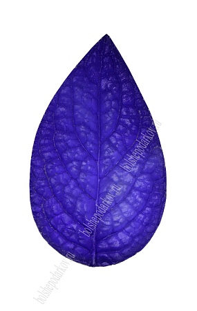 Молд лист универсальный для листвы, 8-5см, арт. 8050