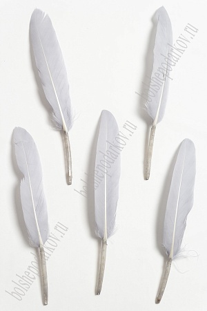 Перья декоративные (20 шт) SF-4316, серый №070