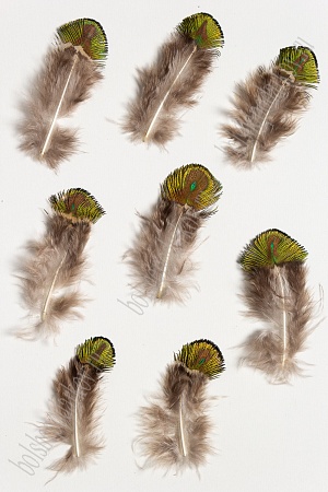 Перья декоративные (30 шт) SF-2027