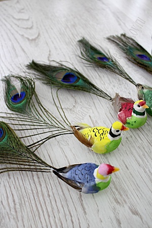 Птички декоративные &quot;Павлин&quot; на магните 20 см (12 шт) SF-2378, ассорти