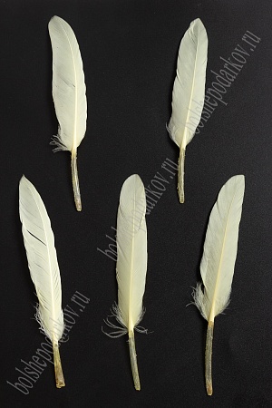 Перья декоративные (20 шт) SF-4316, бледно-желтый №124