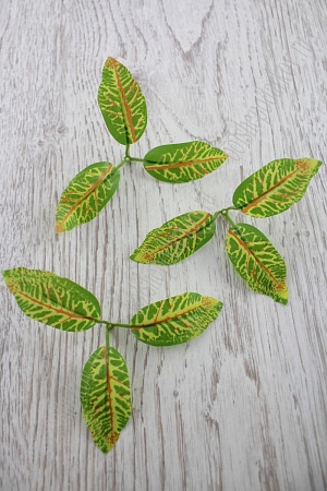 Листик кротона 3 шт (50 шт) SF-2115, трехцветный